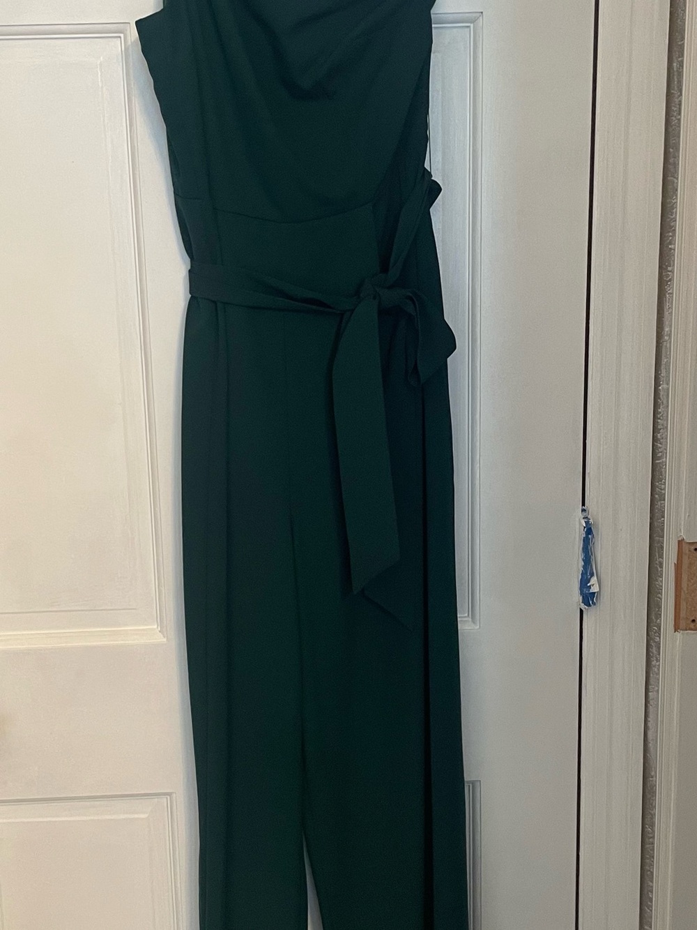 Petal & Pup One-Shoulder Dark Green Jumpsuit with Waist Tie